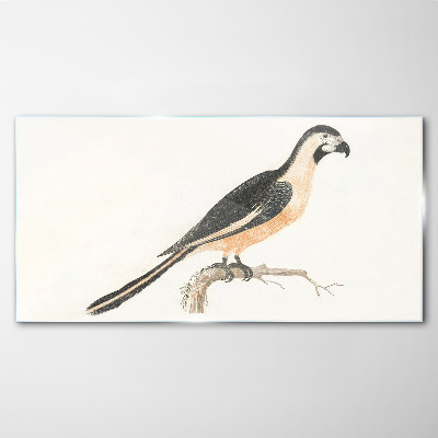 Bird on a branch Glass art print