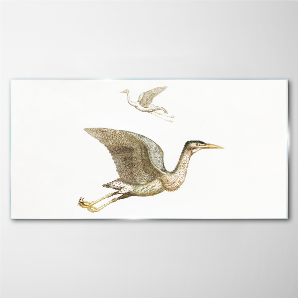 Drawing animals birds Glass Print