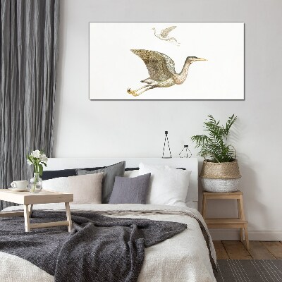 Drawing animals birds Glass Print