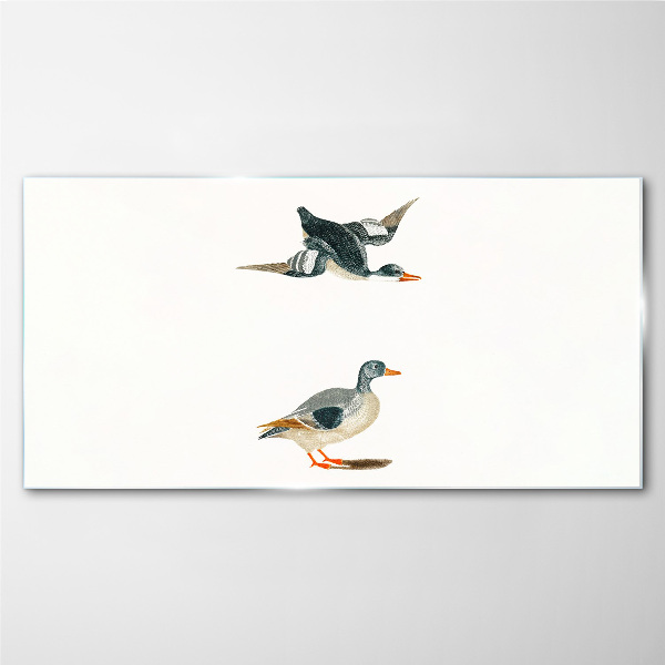 Waterbirds in flight and on the ground Glass art print