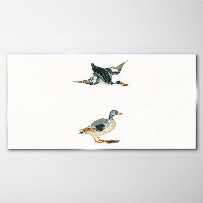 Waterbirds in flight and on the ground Glass art print