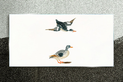 Waterbirds in flight and on the ground Glass art print