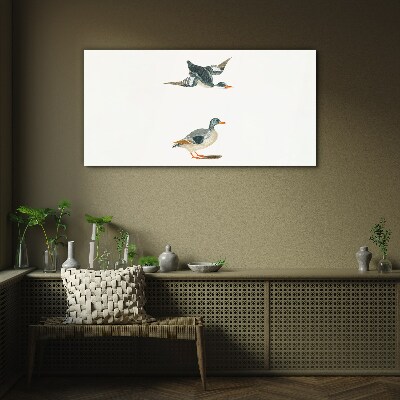 Waterbirds in flight and on the ground Glass art print