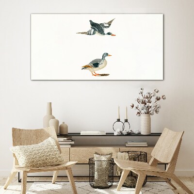 Waterbirds in flight and on the ground Glass art print