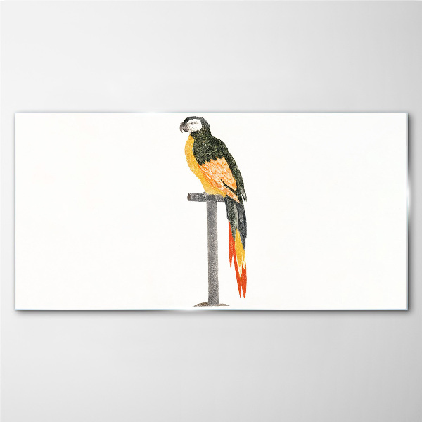 Drawing animal bird parrot Glass Print