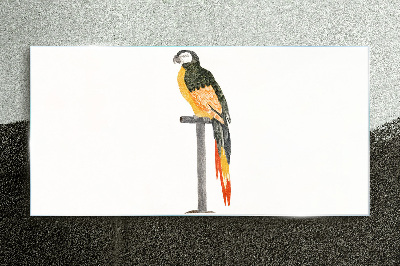 Drawing animal bird parrot Glass Print