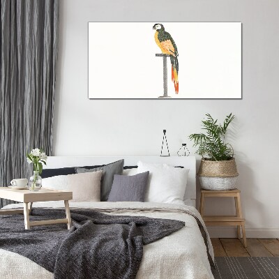 Drawing animal bird parrot Glass Print