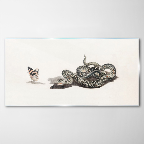 Drawing animal snake butterfly Glass Print