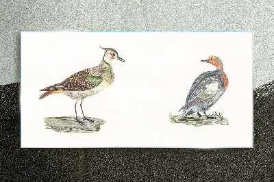 Colorful birds on a white background Wall art on glass