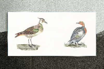 Drawing animals birds Glass Print