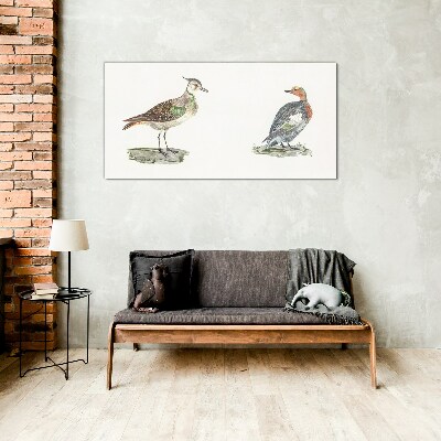 Colorful birds on a white background Wall art on glass