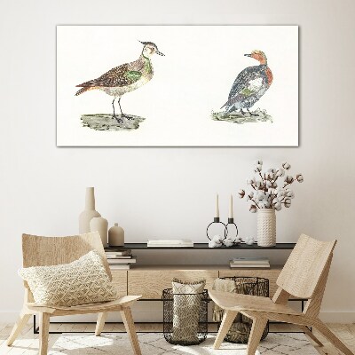 Drawing animals birds Glass Print