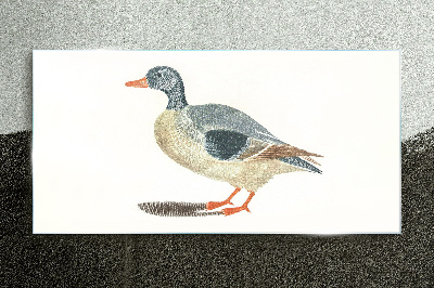 Duck in pastel shades Glass art print