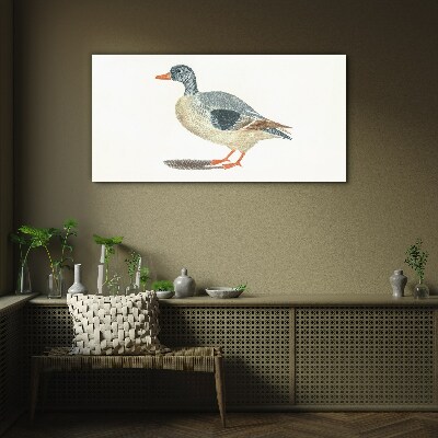 Duck in pastel shades Glass art print