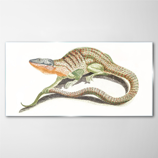 Colorful lizard in motion Glass art print