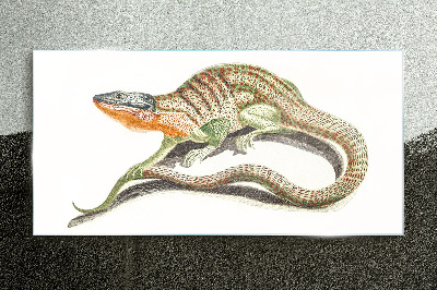 Colorful lizard in motion Glass art print