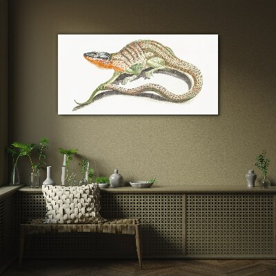 Colorful lizard in motion Glass art print