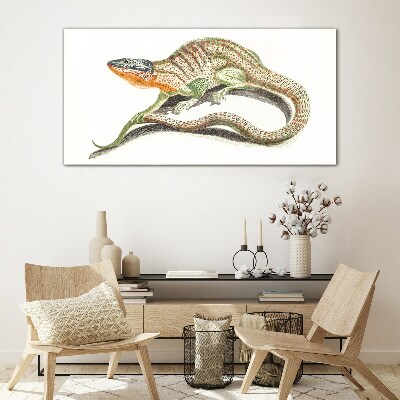 Colorful lizard in motion Glass art print