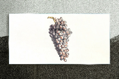 Fruit grapes Glass Print