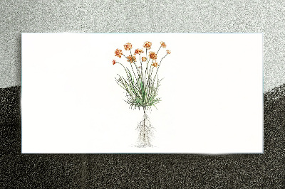 Flowers with roots Glass art print
