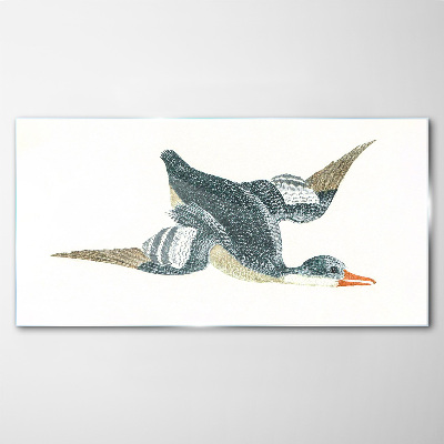 Flying duck in pastel shades Wall art on glass