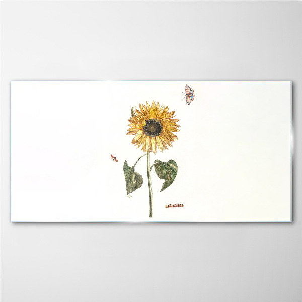 Sunflower in a delicate composition Glass art print