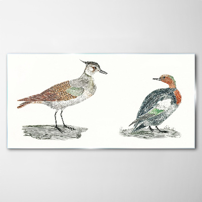 Birds in the colors of nature Wall art on glass