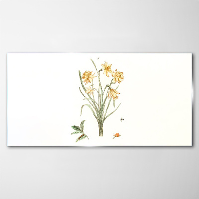 Daffodil flowers with a nature motif Glass art print