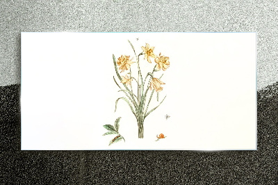 Daffodil flowers with a nature motif Glass art print