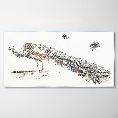 Animal bird peacock flies Glass Print