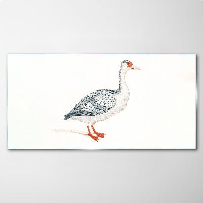 Goose in delicate shades Glass art print