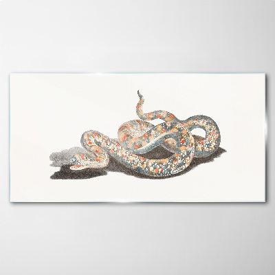 Snake pattern with colorful details Wall art on glass