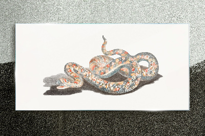 Pet snake Glass Print
