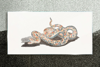 Snake pattern with colorful details Wall art on glass