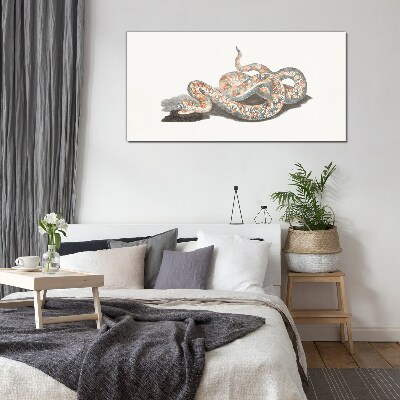 Snake pattern with colorful details Wall art on glass