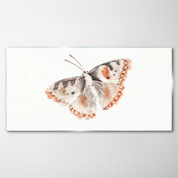 Butterfly on white background Glass art print