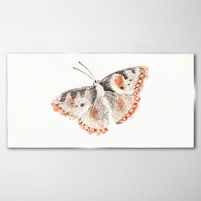 Butterfly on white background Glass art print