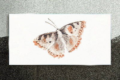 Butterfly on white background Glass art print