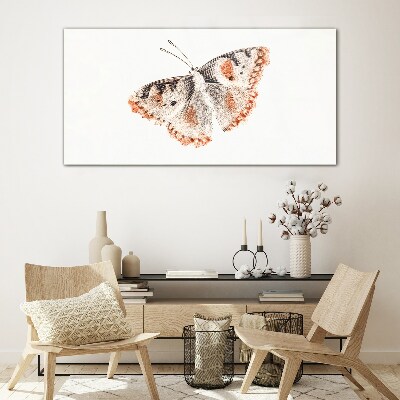 Butterfly on white background Glass art print