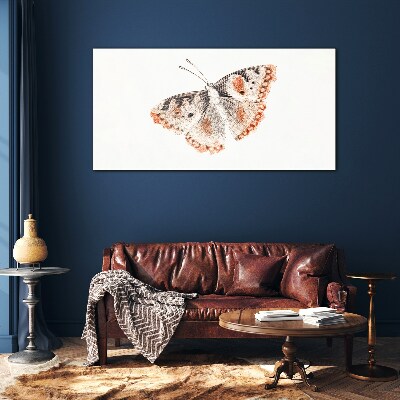 Butterfly on white background Glass art print
