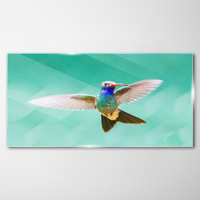 Hummingbird in blue background Wall art on glass