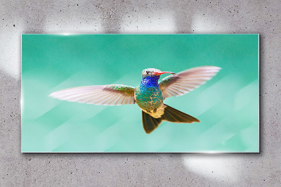 Hummingbird in blue background Wall art on glass