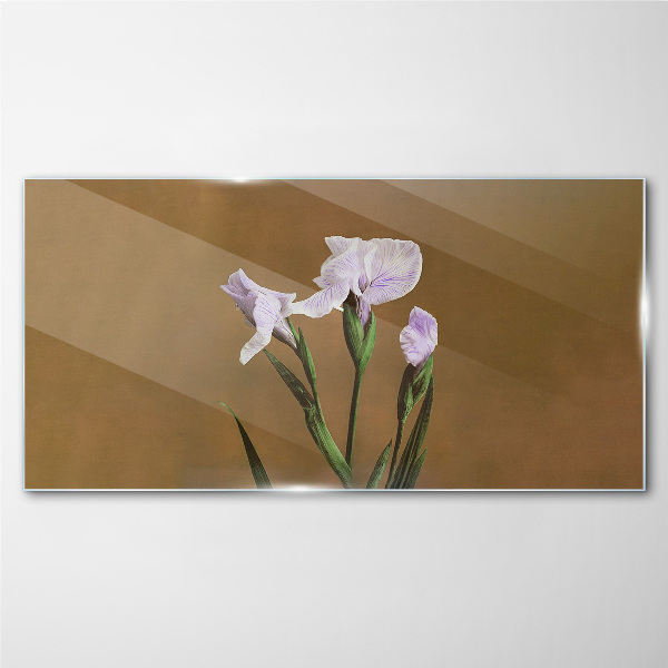 Iris flowers on a brown background Glass art print