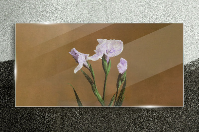 Iris flowers on a brown background Glass art print