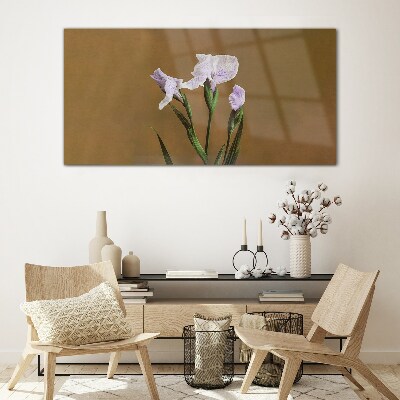 Iris flowers on a brown background Glass art print