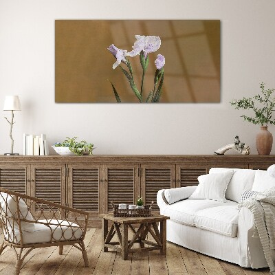 Iris flowers on a brown background Glass art print