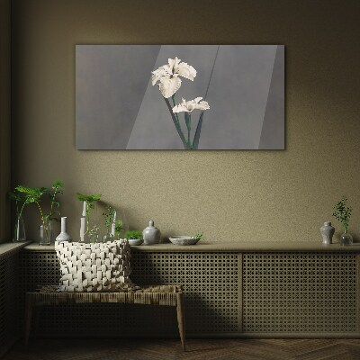 White irises on a gray background Glass art print
