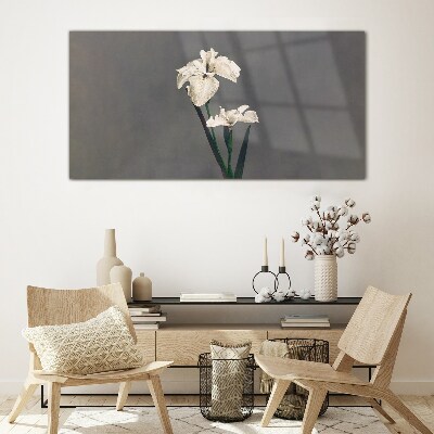 White irises on a gray background Glass art print