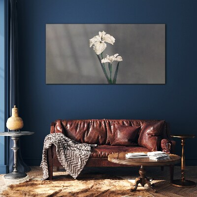 White irises on a gray background Glass art print