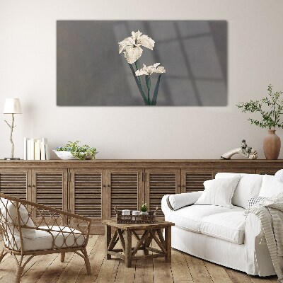 White irises on a gray background Glass art print